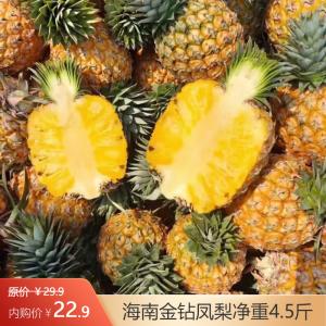 田园东方 海南金钻凤梨净重4.5斤