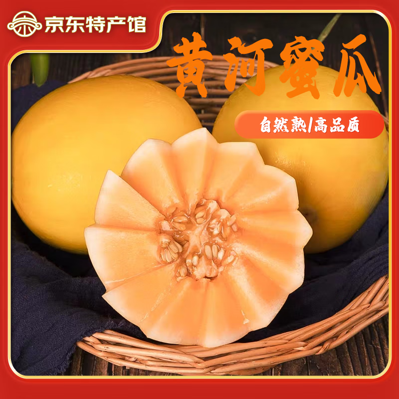 正宗黄河蜜瓜现摘甜瓜 4-5斤（2-3枚）