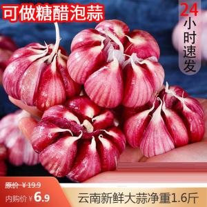 牛爱田 云南新鲜大蒜头净重1.6斤