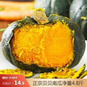 盛觅 正宗贝贝南瓜净重4.8斤
