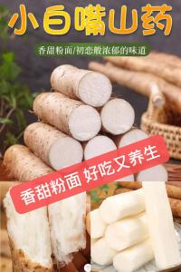 河北铁棍小白嘴山药 带箱5斤