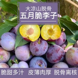 大凉山 五月脆凤凰青脆李 净重2.8-3斤