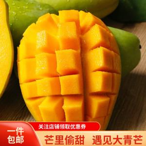 遇见悯农 新鲜青皮金煌芒果 净重4.5斤 