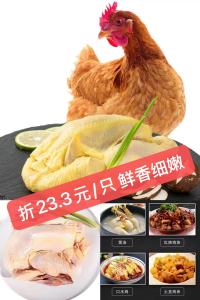 青草家 童子鸡 650g*3只