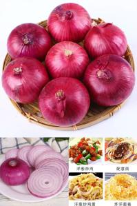遇见悯农 现挖红皮洋葱带箱5斤