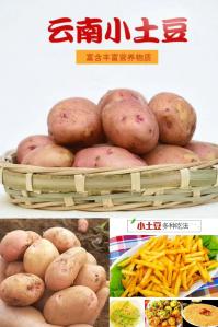 遇见悯农 云南黄心土豆小果含箱5斤