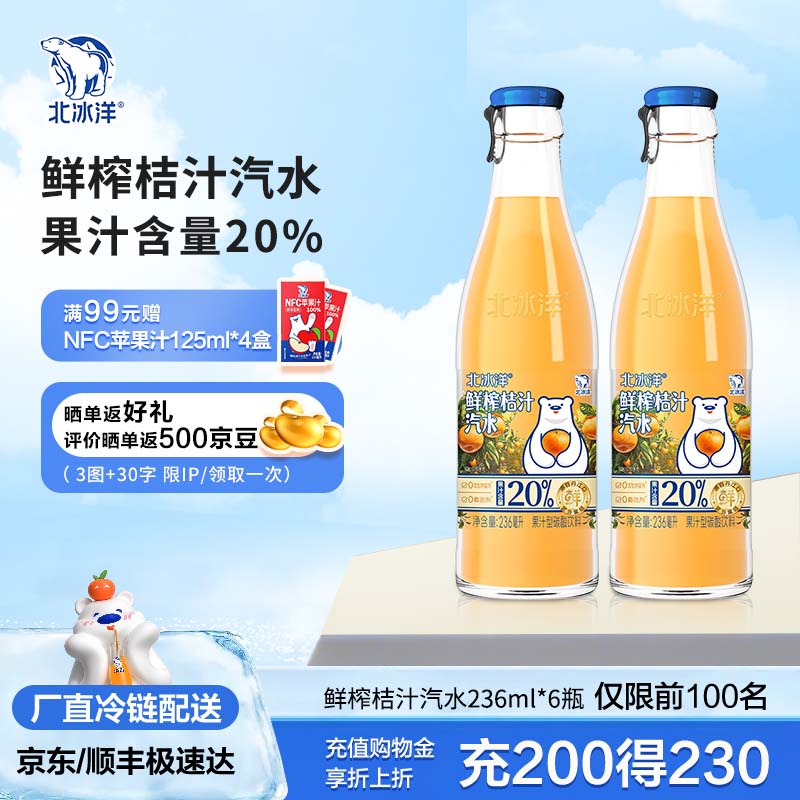 北冰洋 北京玻璃瓶碳酸果汁饮料 236ml×6瓶