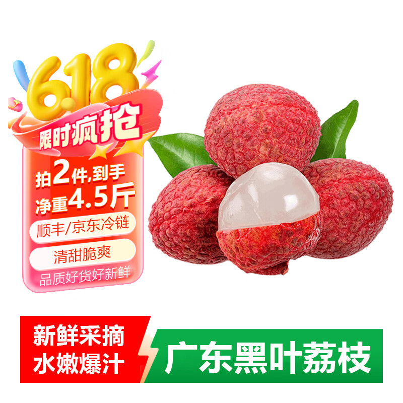 虔园 广东黑叶妃子笑荔枝 2.5斤尝鲜装