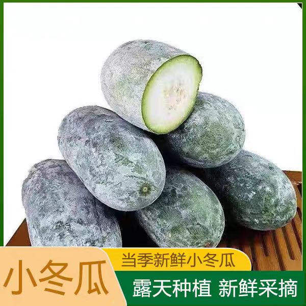 甄仙缘 新鲜 挂霜小冬瓜 4.5斤