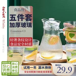 EWIWE家用玻璃冷水壶五件套