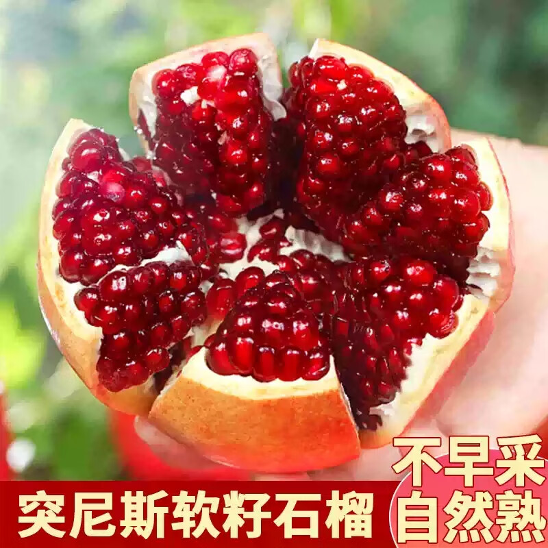 突尼斯软籽石榴 大果5斤箱装（350-400g）