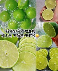  四川特产 香水青柠檬 5斤超值装 单果70-90g