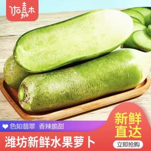 佑嘉木 山东潍坊水果萝卜 4.5-5斤
