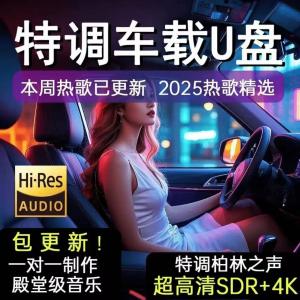 柏之声 车载U优盘 32G无损音质【5000首歌曲】