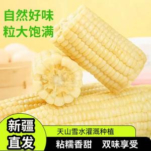绿熊庄园 新疆特产铝箔包装白甜糯玉米 净重5斤
