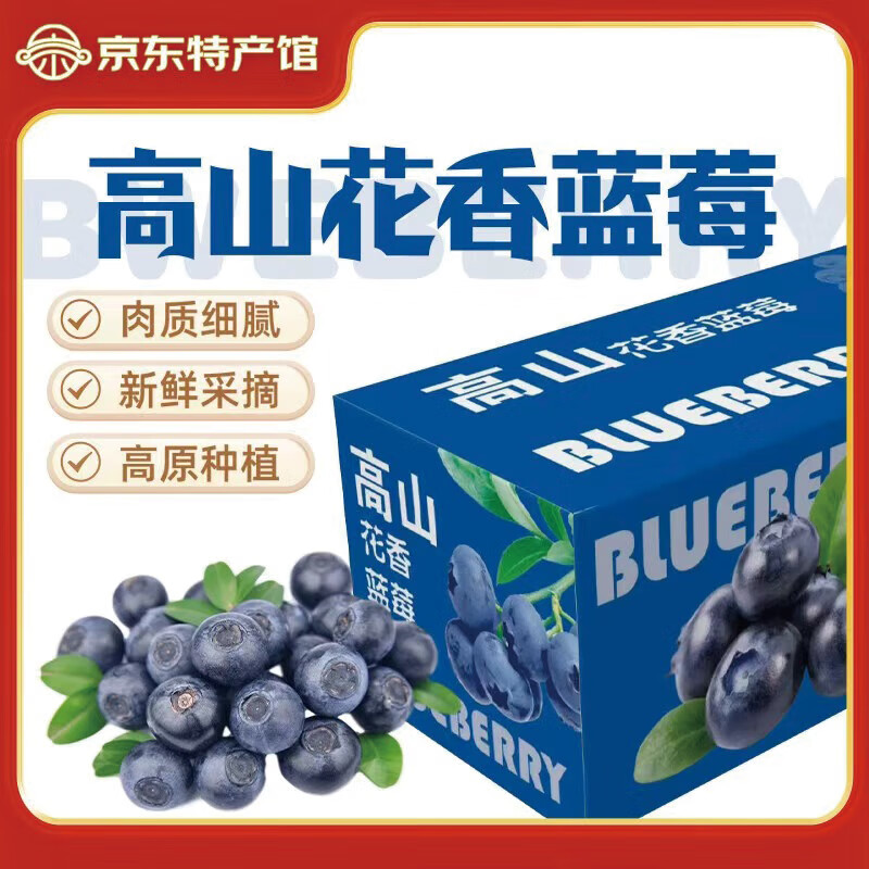 异果恋 云南高山蓝莓鲜果 净重125g*2盒