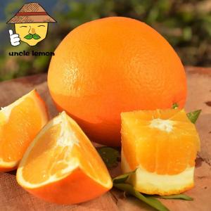 uncle lemon 四川高山脐橙中果 9斤