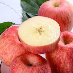 佑嘉木 烟台红富士苹果 净重4.5斤