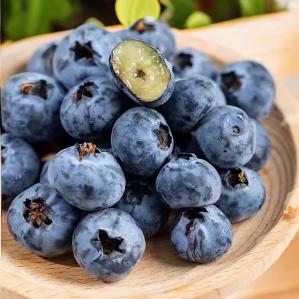 周匠 云南新鲜蓝莓125g*2盒