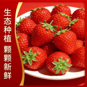 周匠 长丰99红颜草莓中大果3斤