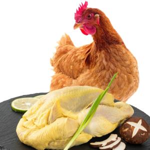 青草家 童子鸡 650g*3只