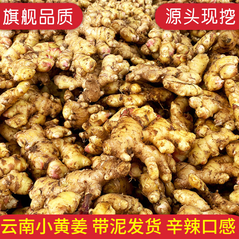 牛爱鲜 云南小黄姜净重4.5斤