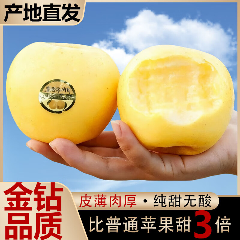 秦悦 正宗山东黄金维纳斯苹果 净重4.5斤