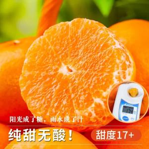 uncle lemon 四川高山沃柑 净重8.5-9斤