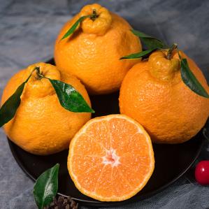 牛爱鲜 不知火丑橘净重8.5斤