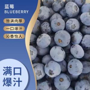 鲜农涧 云南高山新鲜蓝莓 (100-125g)*4盒